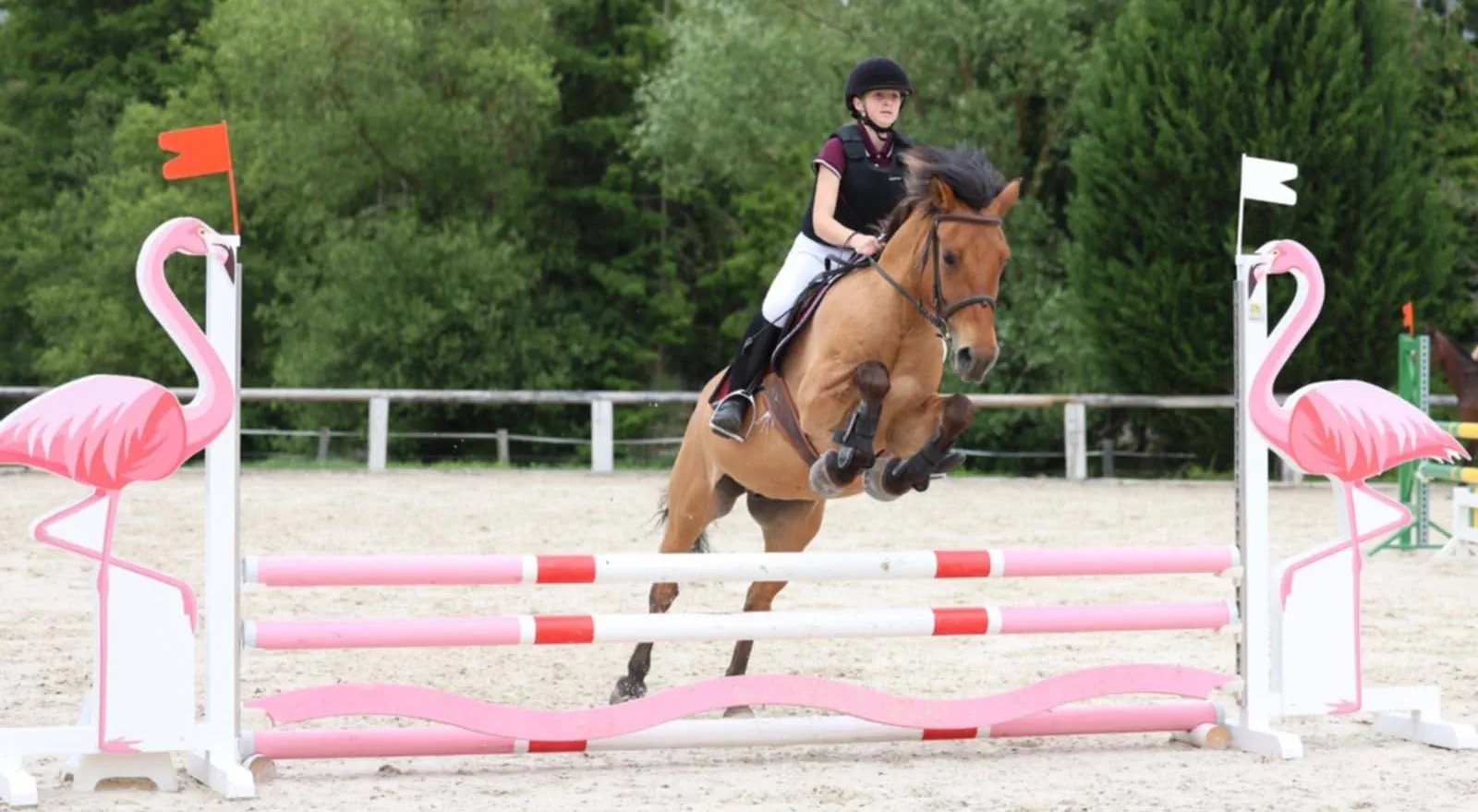 Cours d'équitation