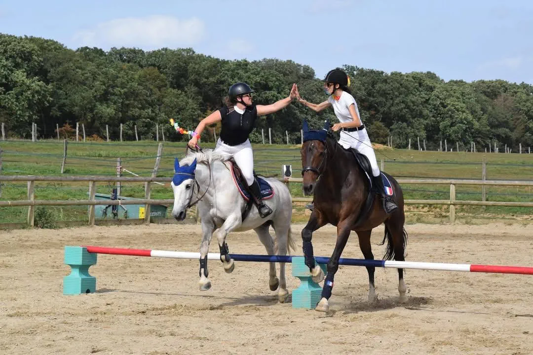 Pension chevaux
