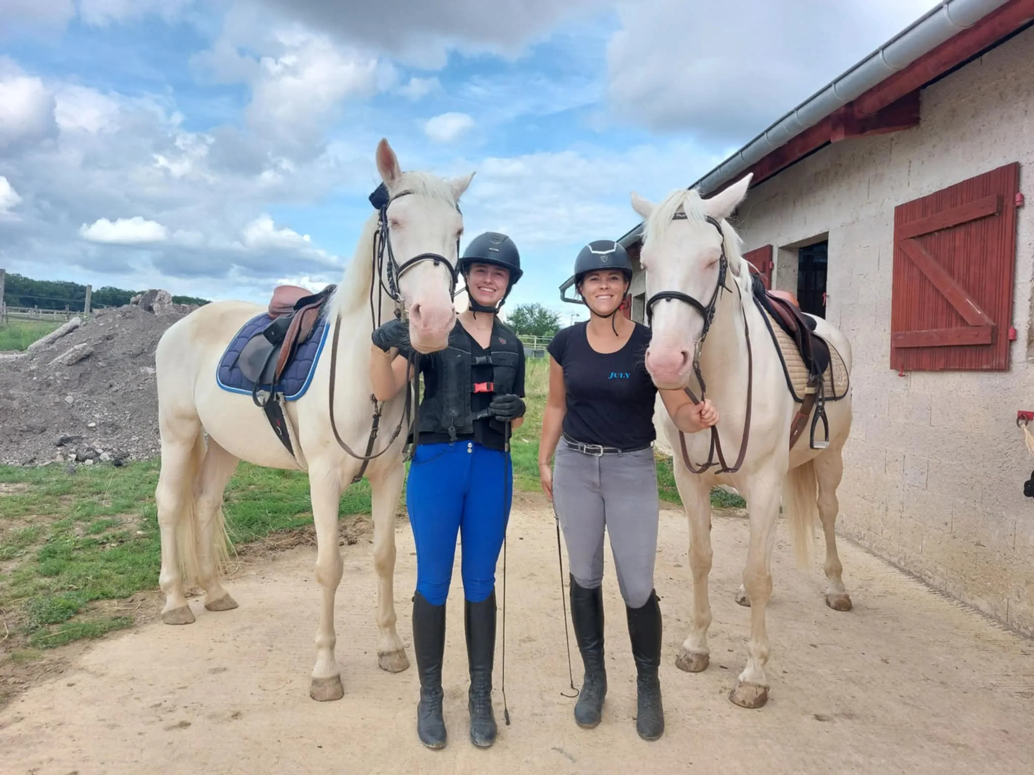 Pension chevaux