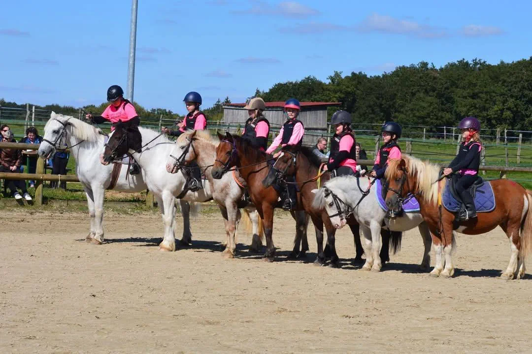 Balades à cheval